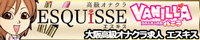 大阪の風俗求人ならバニラ